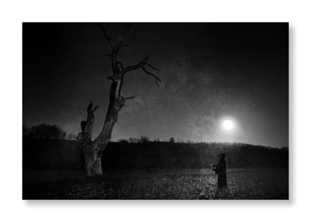 Un étrange personnage  face à un arbre mort de nuit sous la lumière lunaire.