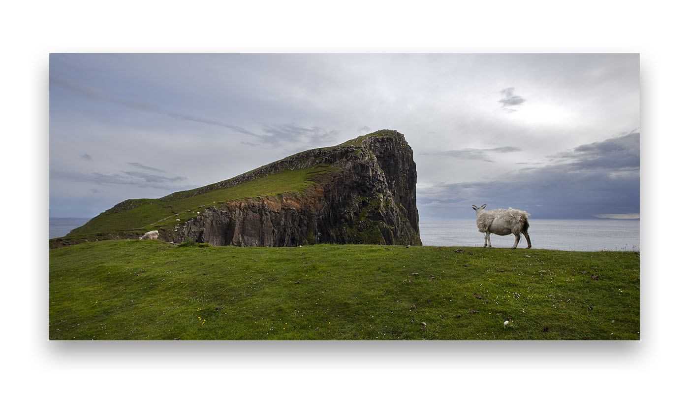 Deux moutons sur l'île de Skye face à la mer sur une hauteur verdoyante.